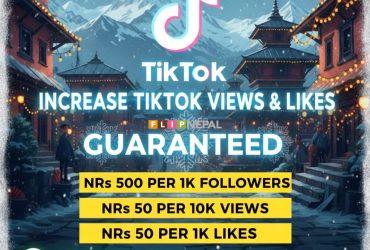 tiktok  instagram facebook services